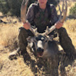 Meet your Posher, Logan